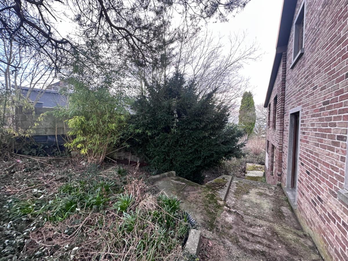 photo 6 du bien OPTION!