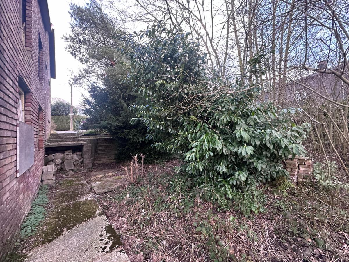 photo 10 du bien OPTION!