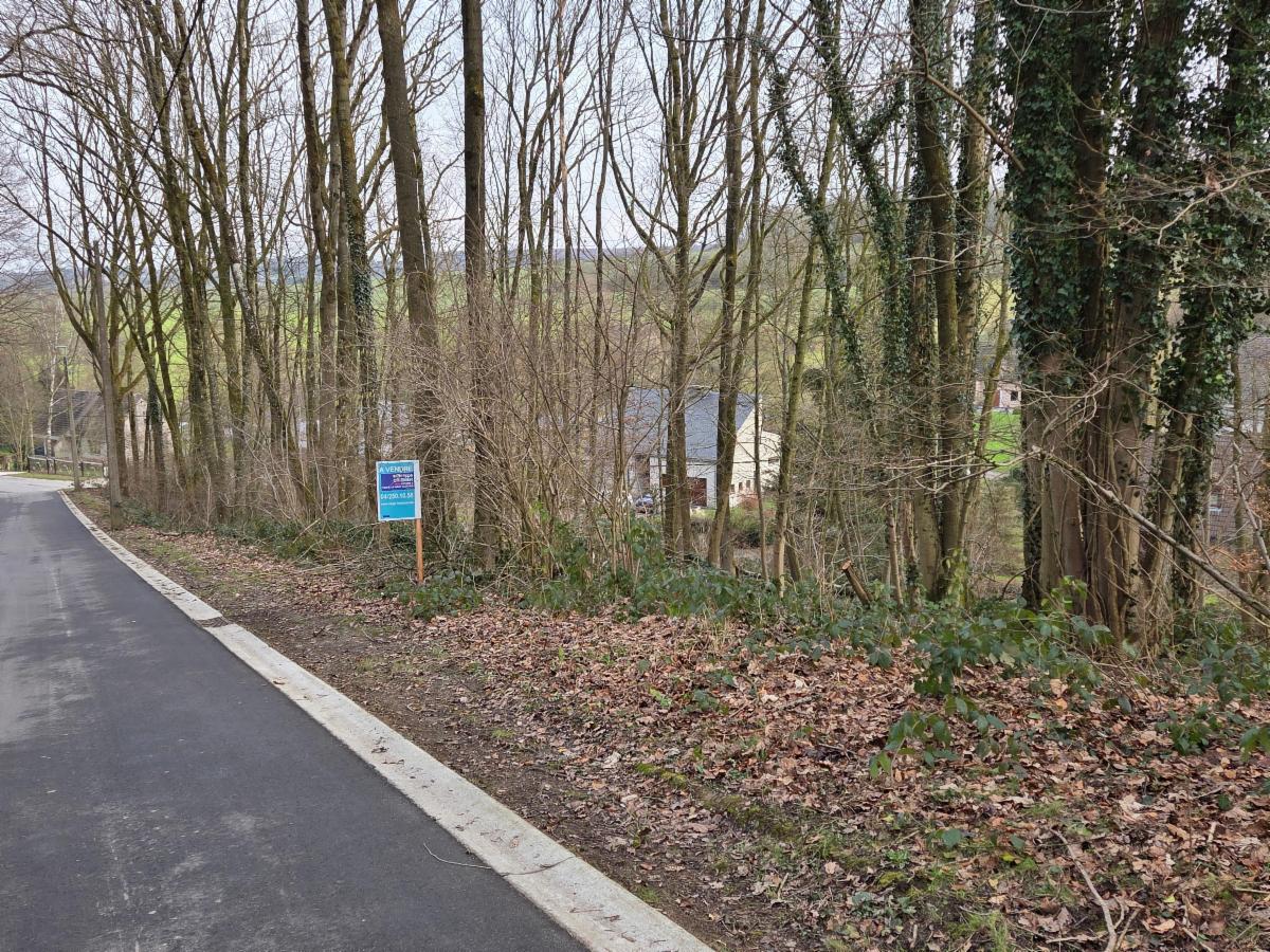 Terrain à vendre - 4550 Nandrin