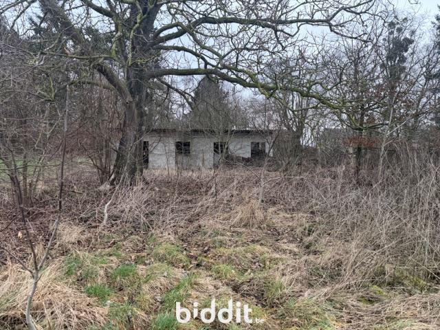 Photo 5 du bien Maison d'habitation à rénover entièrement avec grand terrain