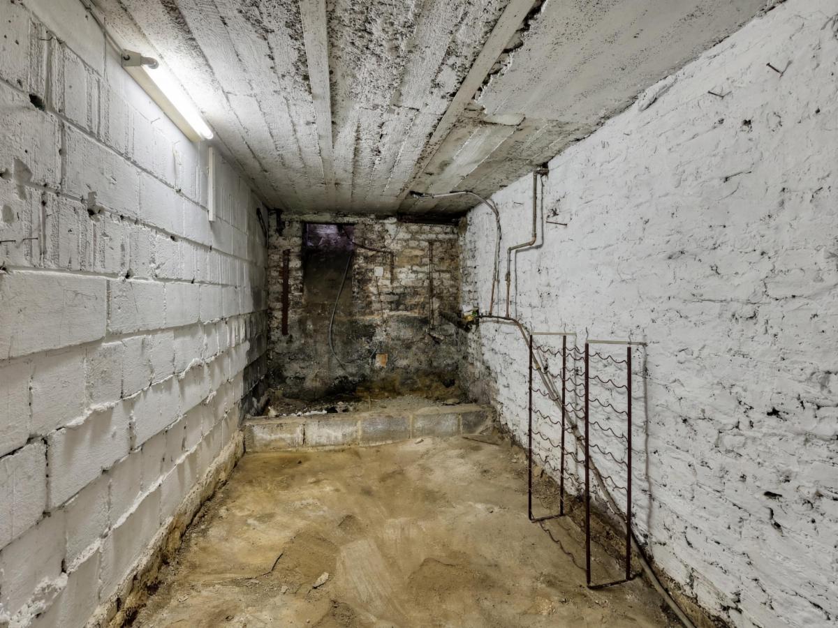 Photo 22 du bien Bonne petite maison avec garage/atelier à rénover