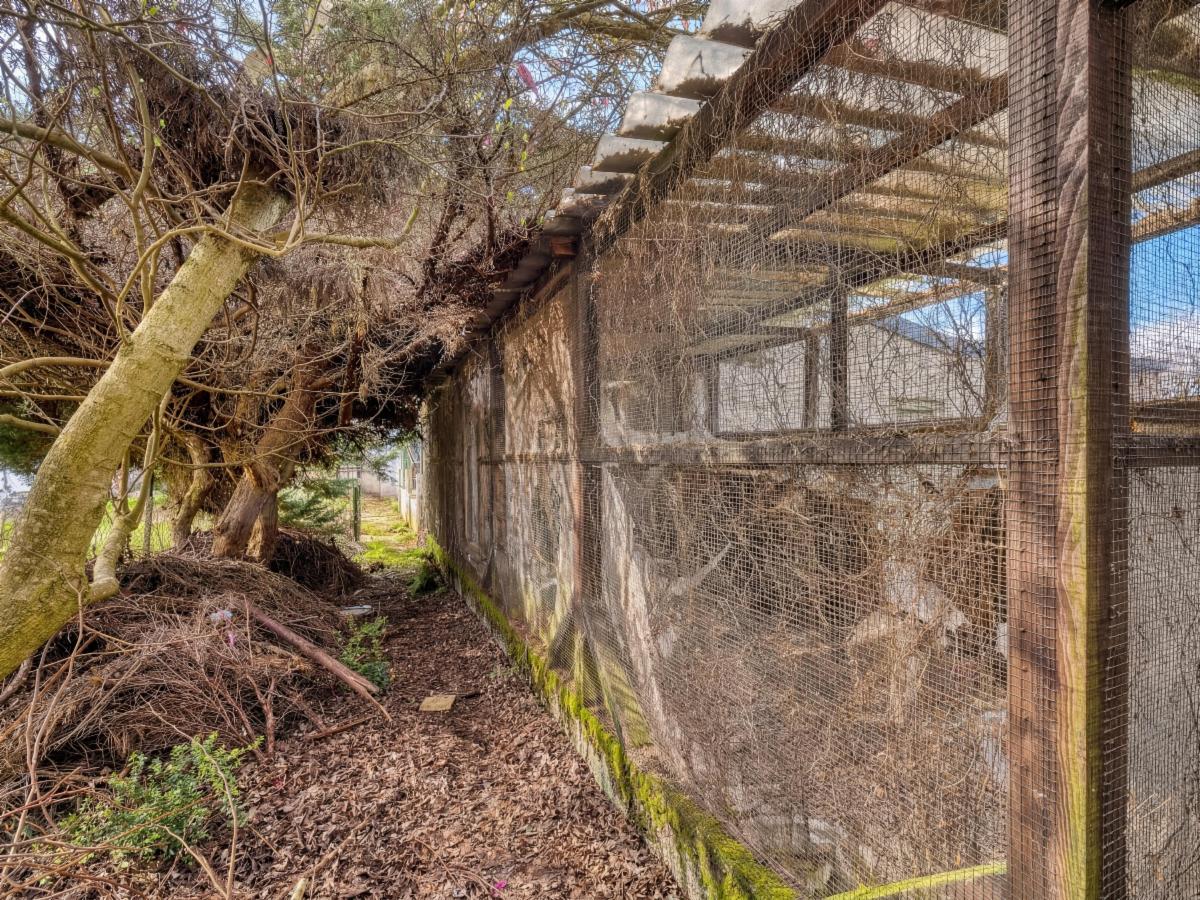 Photo 27 du bien Bonne petite maison avec garage/atelier à rénover