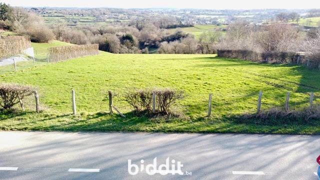 photo 5 du bien 🌞 Découvrez un terrain à bâtir d'exception à Becco, dans la commune de Theux !
