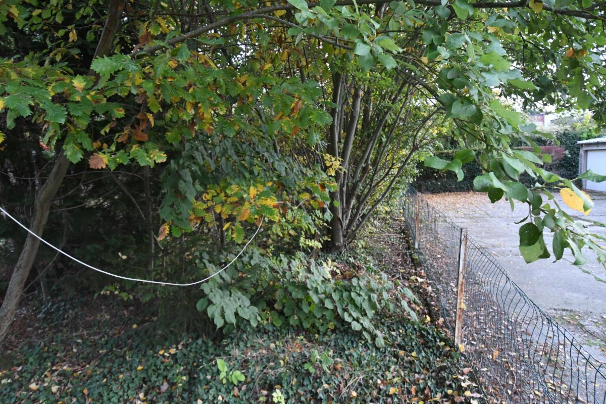 Photo 20 du bien Maison d'habitation, 2 chambres, avec jardin, à restaurer