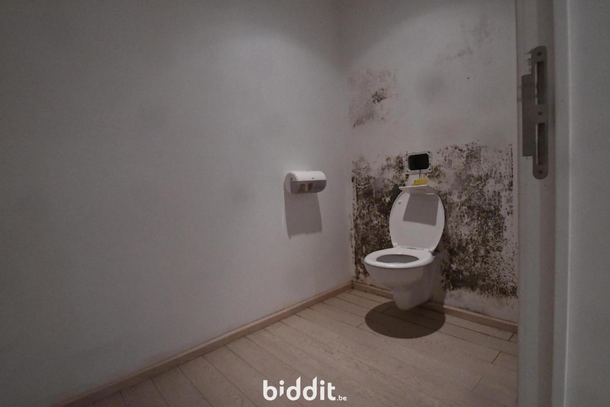 Photo 18 du bien MAISON DE RAPPORT (duplex prof. - 4 appts - 1 entité polyv)