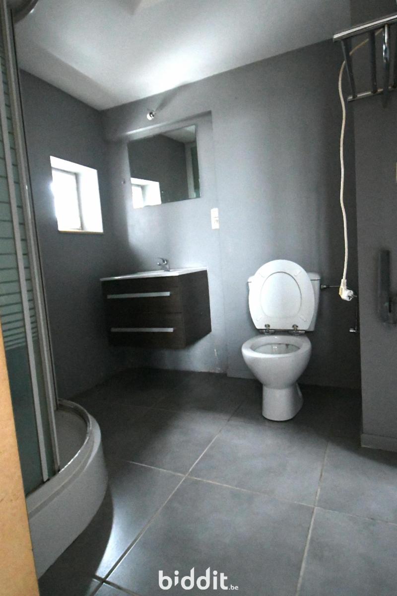 Photo 24 du bien MAISON DE RAPPORT (duplex prof. - 4 appts - 1 entité polyv)