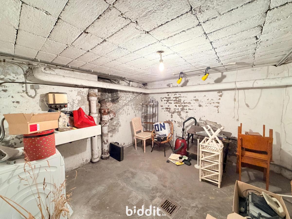photo 26 du bien Très belle maison de 1935 avec 3 chambres, garage et jardin