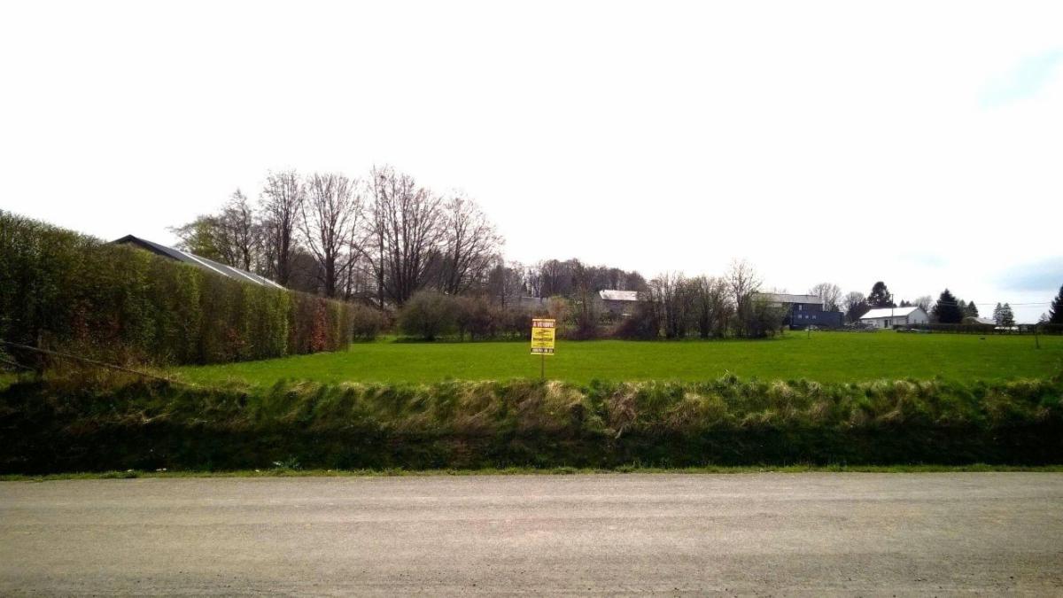Terrain à vendre - Regné, 6690 Vielsalm