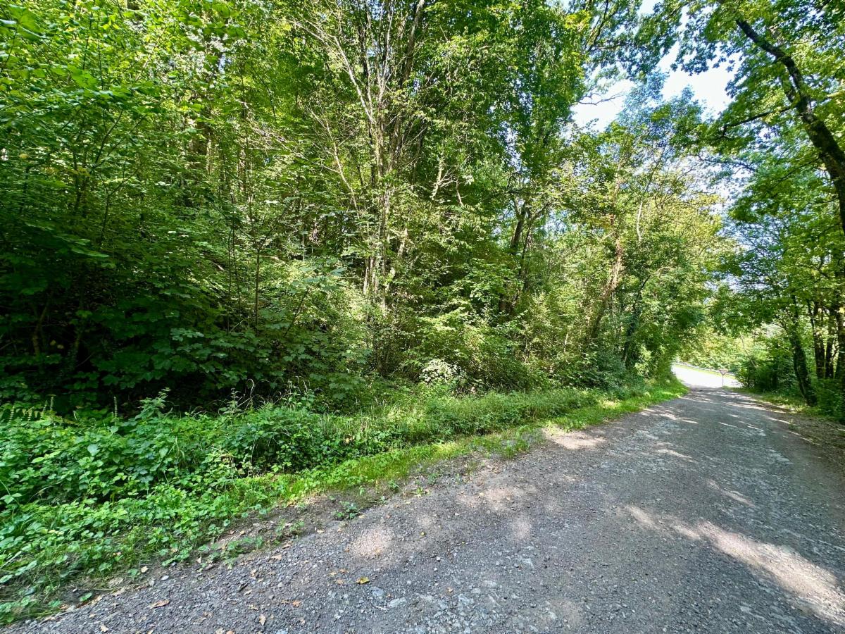 Terrain à vendre - Rue de Tohogne, 6941 Bomal-sur-Ourthe